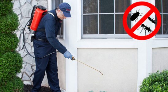 Sason Karınca İlaçlama böcek ilaçlama ve haşere kontrolü — ilaclama-tr.com